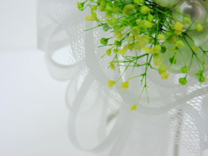 f:id:colorbless:20151021235837j:image