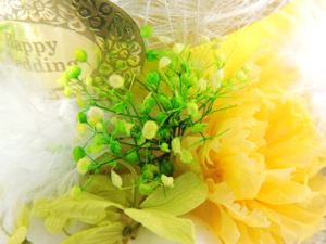 f:id:colorbless:20151022210131j:image