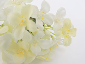 f:id:colorbless:20151104135436j:image