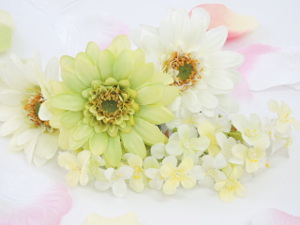 f:id:colorbless:20151104143211j:image