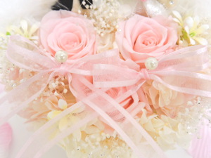 f:id:colorbless:20151105192021j:image