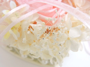 f:id:colorbless:20151105192043j:image