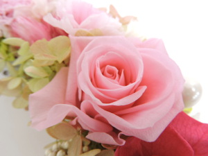 f:id:colorbless:20151118210950j:image