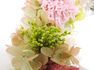 f:id:colorbless:20151118211038j:image