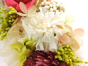 f:id:colorbless:20151118211119j:image