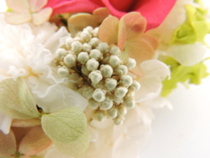 f:id:colorbless:20151118211148j:image