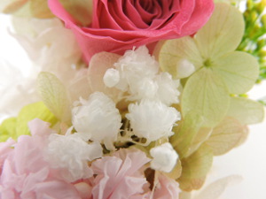 f:id:colorbless:20151118212622j:image