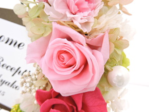 f:id:colorbless:20151119120448j:image