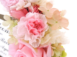 f:id:colorbless:20151119120456j:image