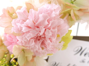 f:id:colorbless:20151119120513j:image