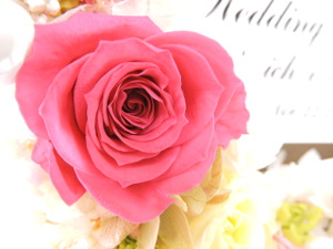 f:id:colorbless:20151119120524j:image