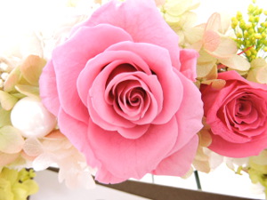 f:id:colorbless:20151119120546j:image