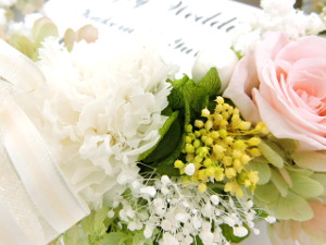 f:id:colorbless:20151121233323j:image
