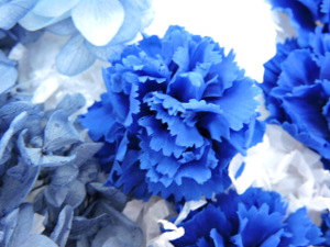 f:id:colorbless:20151209153054j:image