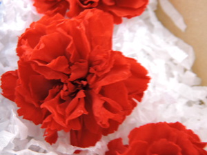 f:id:colorbless:20151209153106j:image