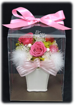 f:id:colorbless:20151213225145j:image