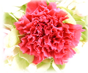 f:id:colorbless:20151227223353j:image