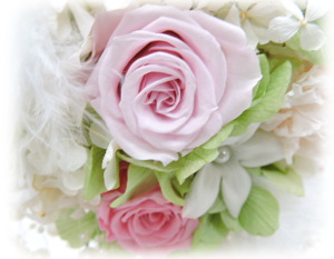 f:id:colorbless:20151227223458j:image