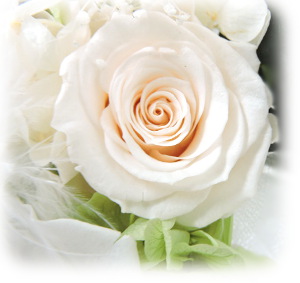 f:id:colorbless:20151227223529j:image