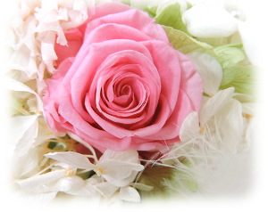 f:id:colorbless:20151227223627j:image