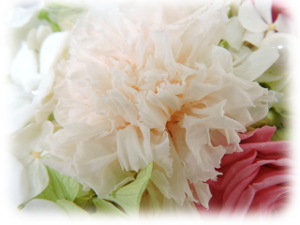 f:id:colorbless:20151227223712j:image