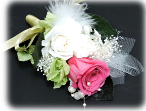 f:id:colorbless:20151227224054j:image