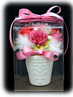 f:id:colorbless:20160126232842j:image