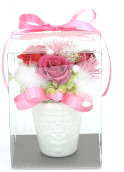 f:id:colorbless:20160126232917j:image
