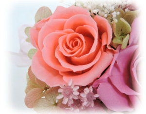 f:id:colorbless:20160202000252j:image