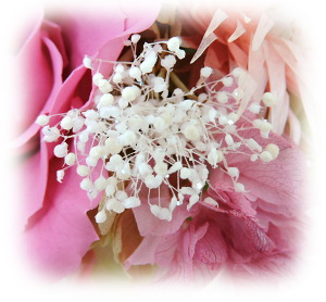 f:id:colorbless:20160202000329j:image