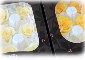 f:id:colorbless:20160205140748j:image f:id:colorbless:20160205140748j:image