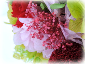 f:id:colorbless:20160208003721j:image f:id:colorbless:20160208003721j:image