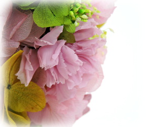 f:id:colorbless:20160208003849j:image f:id:colorbless:20160208003849j:image