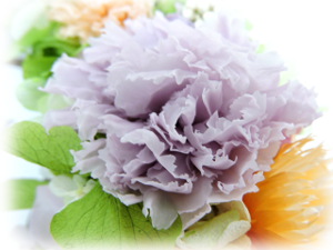 f:id:colorbless:20160209004053j:image f:id:colorbless:20160209004053j:image