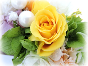 f:id:colorbless:20160209004211j:image f:id:colorbless:20160209004211j:image