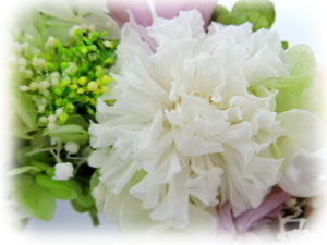 f:id:colorbless:20160209004318j:image f:id:colorbless:20160209004318j:image