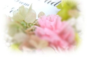 f:id:colorbless:20160209195711j:image