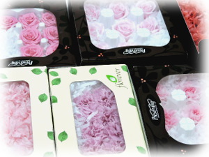 f:id:colorbless:20160211001605j:image