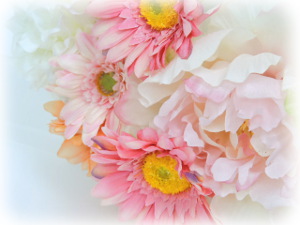 f:id:colorbless:20160211230339j:image f:id:colorbless:20160211230339j:image