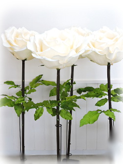 f:id:colorbless:20160217110903j:image f:id:colorbless:20160217110903j:image