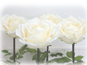 f:id:colorbless:20160217110933j:image f:id:colorbless:20160217110933j:image