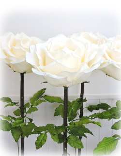 f:id:colorbless:20160217110959j:image f:id:colorbless:20160217110959j:image
