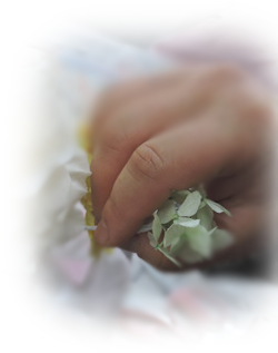 f:id:colorbless:20160218194955j:image