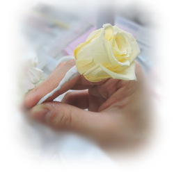 f:id:colorbless:20160218195101j:image