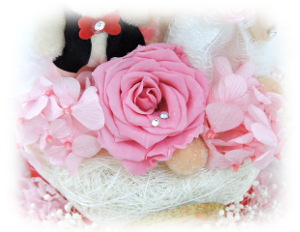 f:id:colorbless:20160220003505j:image