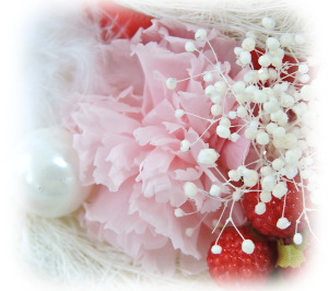 f:id:colorbless:20160220003646j:image