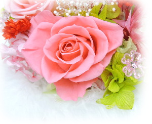 f:id:colorbless:20160223232412j:image