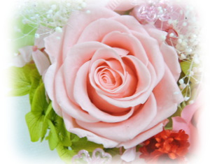 f:id:colorbless:20160223232446j:image