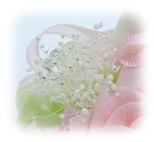 f:id:colorbless:20160223232622j:image