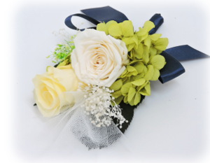 f:id:colorbless:20160225202330j:image